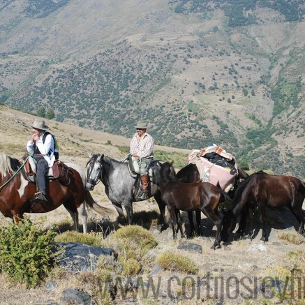 Riders near peaks of Mulhacen
