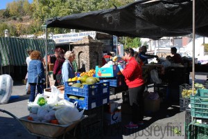 Fruit and veg market at Pitres