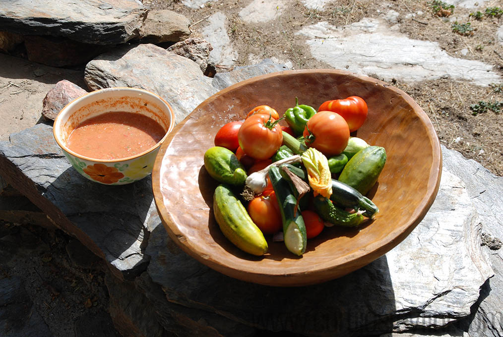 Most of the ingredients for Gazpacho grown at cortijos rey fini